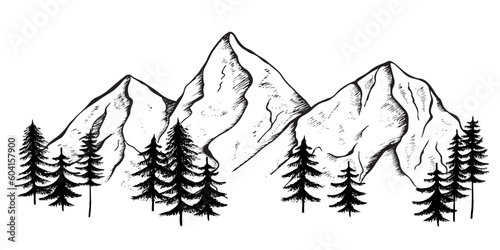 Mountain night graphic black white landscape sketch illustration vector
