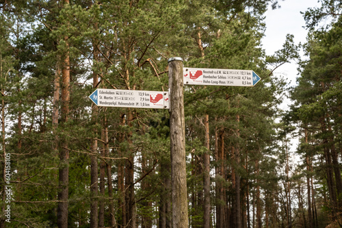 Wanderweg Wegweiser am Bildbaum im Pfälzer Wald