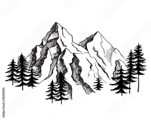 Mountain with fir trees at the bottom night graphic black white landscape sketch illustration vector.