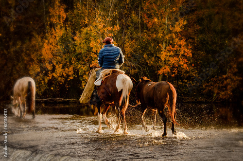 horse and rider, returning home at sunset crossing they river, warm colors