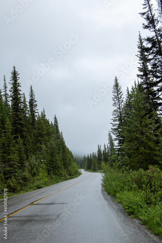 Beautiful road in the Canadian Rocky Mountains surrounded by green trees © Aafia