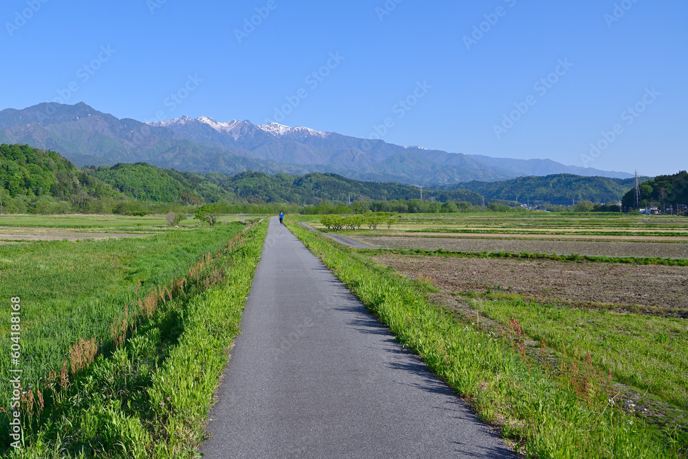 Obraz premium 南アルプス