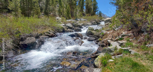 River in the forest. 