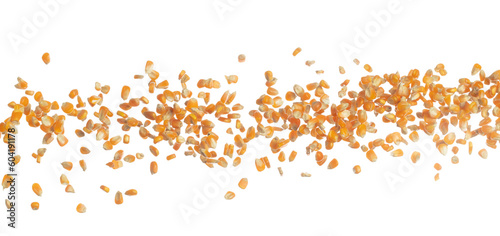 Corn dried seed grain fly in mid air. Yellow Golden corn seed falling scatter  explosion float in shape form line group. White background isolated freeze motion high speed shutter