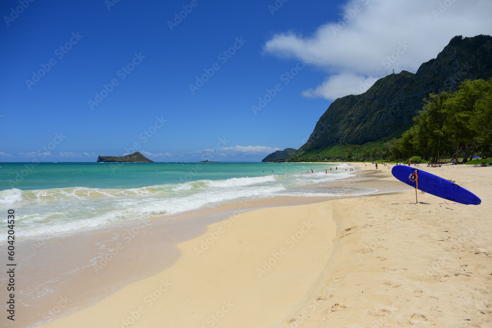 Scenic Sandy Beach and Blue Sky