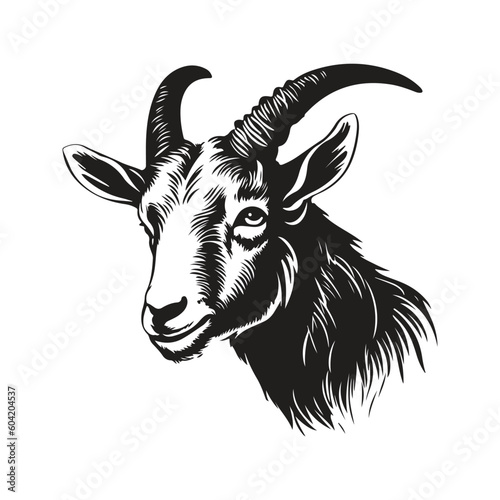 goat, vintage logo line art concept black and white color, hand drawn illustration