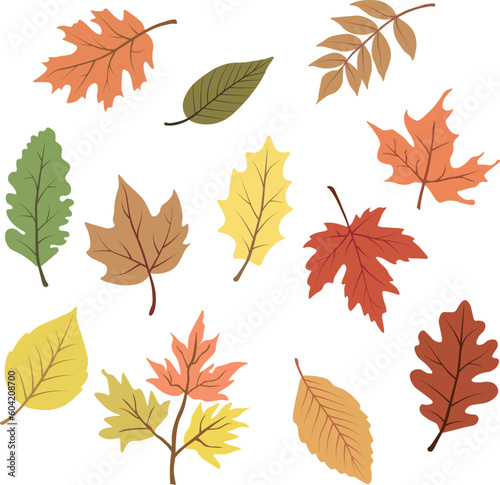 Autumn leaves collection vector graphic
