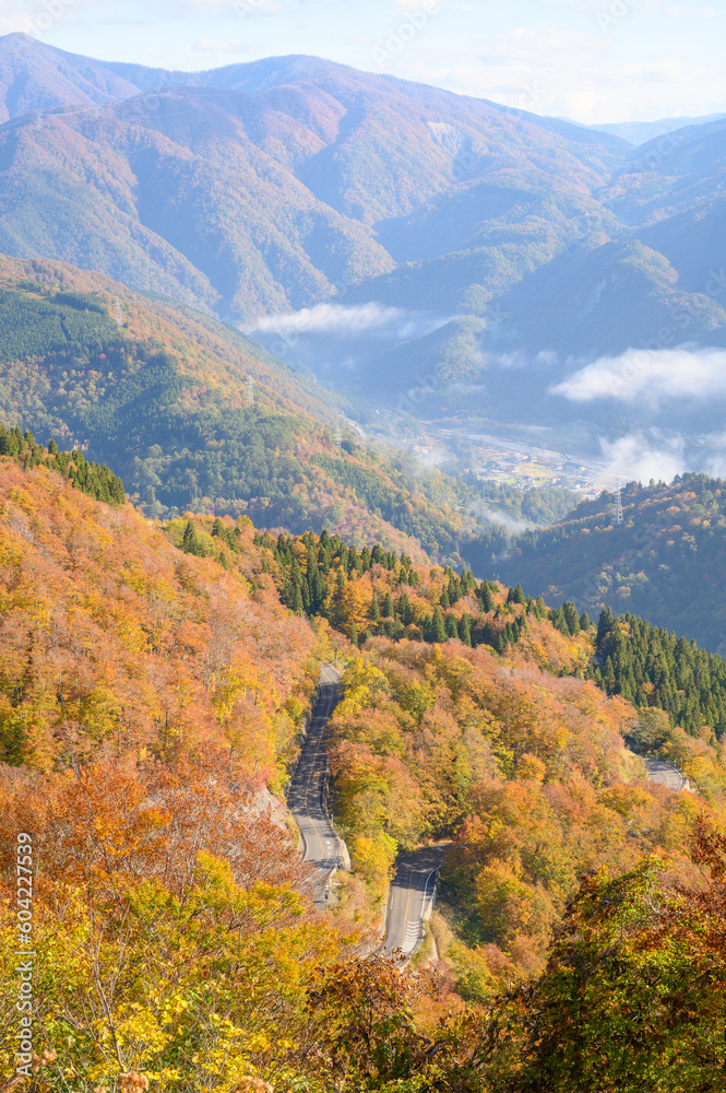 紅葉の白山白川郷ホワイトロード