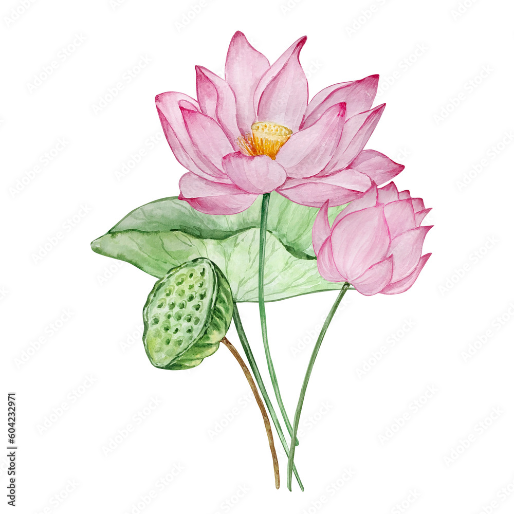 Watercolor bouquet water lilly, july birth month flower Watercolor bouquet water lilly, july birth month flower