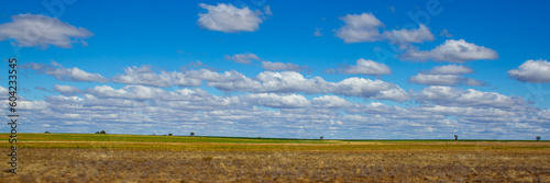 Fototapeta Naklejka Na Ścianę i Meble -  Farmland between Roma and Charleville with cloud formations. Blue sky with trees on hill top. Queensland, Australia.