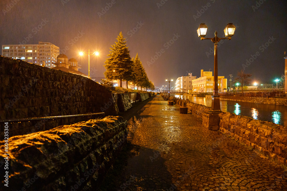 雨降る夜の小樽運河の石畳