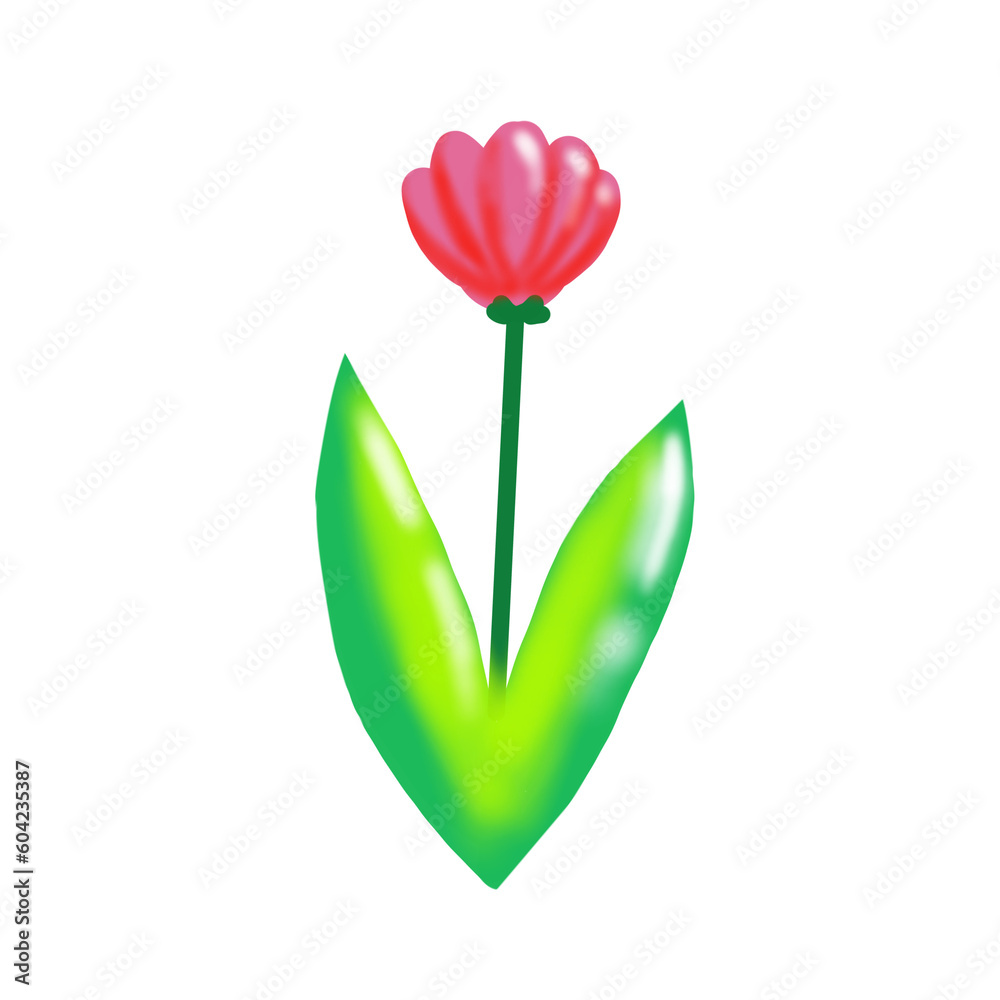 tulip tulip