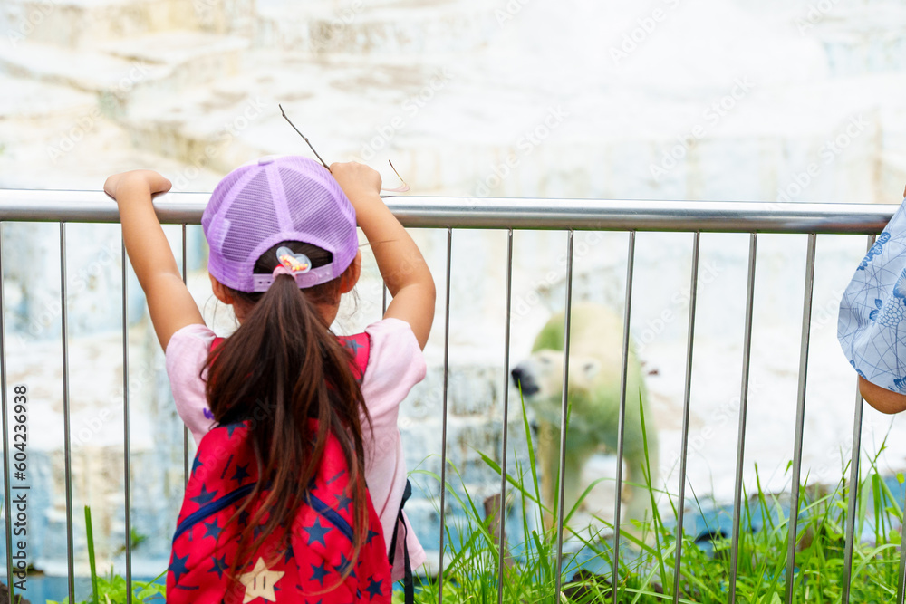 夏休みに動物園で白熊を見る子供
