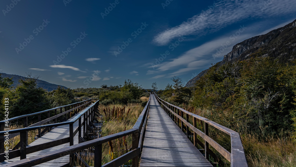 Plank paths with wooden railings are laid for tourists in the Tierra del Fuego National Park. There is green vegetation on the sides. A mountain on a background of blue sky, clouds. Argentina. Ushuaia