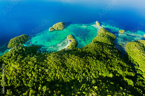 Fototapeta Naklejka Na Ścianę i Meble -  Island, nature and drone view of freedom, travel and explore, travel and trip with zen. Tropical, water and location for tourism, peace and beautiful scenery, earth and summer in Fiji from above