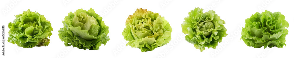 Set of lettuce salad isolated on transparent background Set of lettuce salad isolated on transparent background