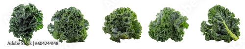 Set of kale isolated on transparent background	 photo