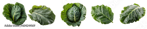 Set of collard green isolated on transparent background	 photo