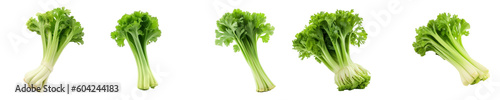 Set of celery isolated on transparent background	