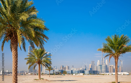 Photography View of Dubai with palm trees and skyscrapers