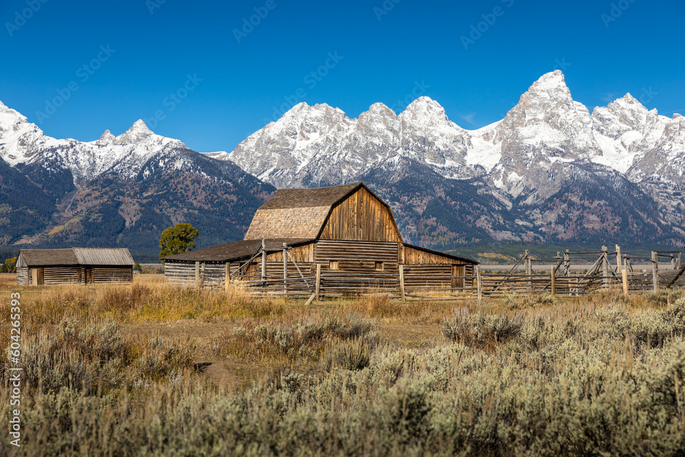 Wooden barn of Mormon Row Historical District in agriculture field in Grand Teton.