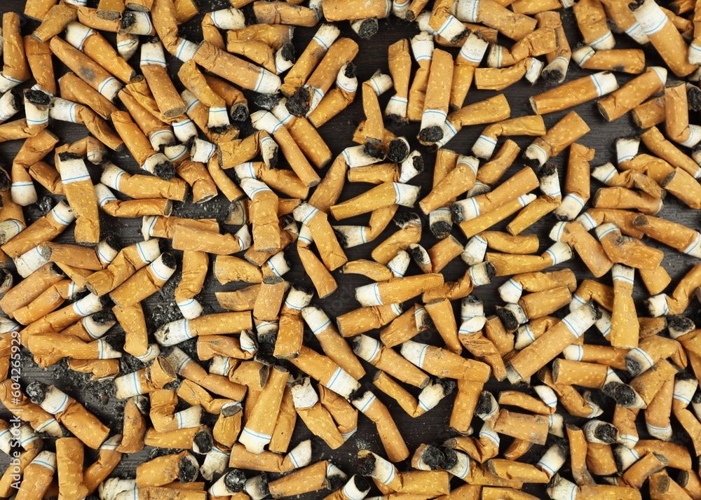 Many smoked cigarettes. Environmental pollution. Smoking harms health. Problems and depression. A person smokes a lot. Background from cigarettes. A brown filter in a cigarette. NO SMOKING Many smoked cigarettes. Environmental pollution. Smoking harms health. Problems and depression. A person smokes a lot. Background from cigarettes. A brown filter in a cigarette. NO SMOKING