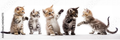 Kittens on a white background. Generative AI