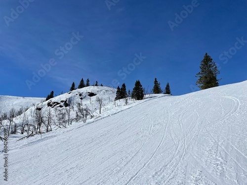 Hemsedal Winter Sko slopes Wonderful Norway