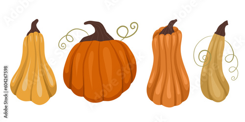 Vector set of pumpkins isolated from the background. Autumn harvest collection. Vegetables from the garden