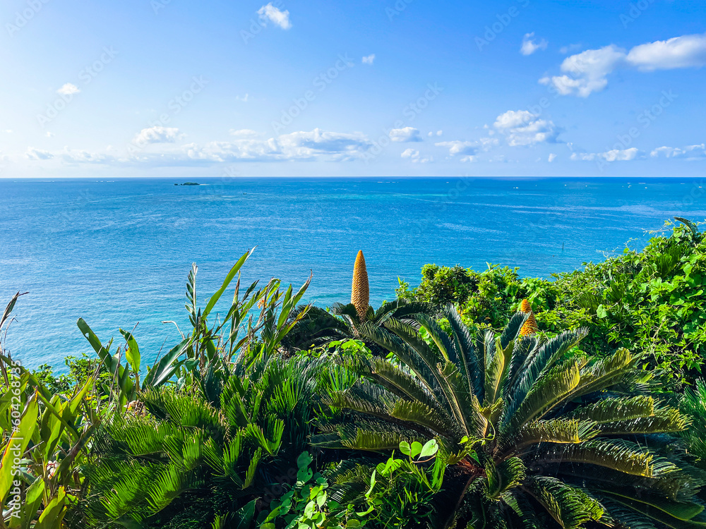Fototapeta premium 沖縄県南城市知念岬公園