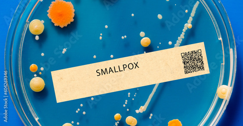 Smallpox - Viral infection that causes a severe and often fatal disease. photo