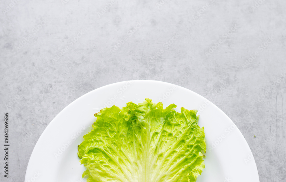 salad on a white plate, diet, proper nutrition, figure, green lettuce leaf, natural product, fitness, diet food, restaurant food, serving
salad on a white plate, diet, proper nutrition, figure, green lettuce leaf, natural product, fitness, diet food, restaurant food, serving