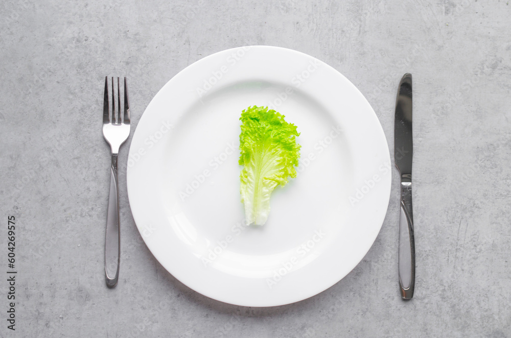 salad on a white plate, diet, proper nutrition, figure, green lettuce leaf, natural product, fitness, diet food, restaurant food, serving
salad on a white plate, diet, proper nutrition, figure, green lettuce leaf, natural product, fitness, diet food, restaurant food, serving