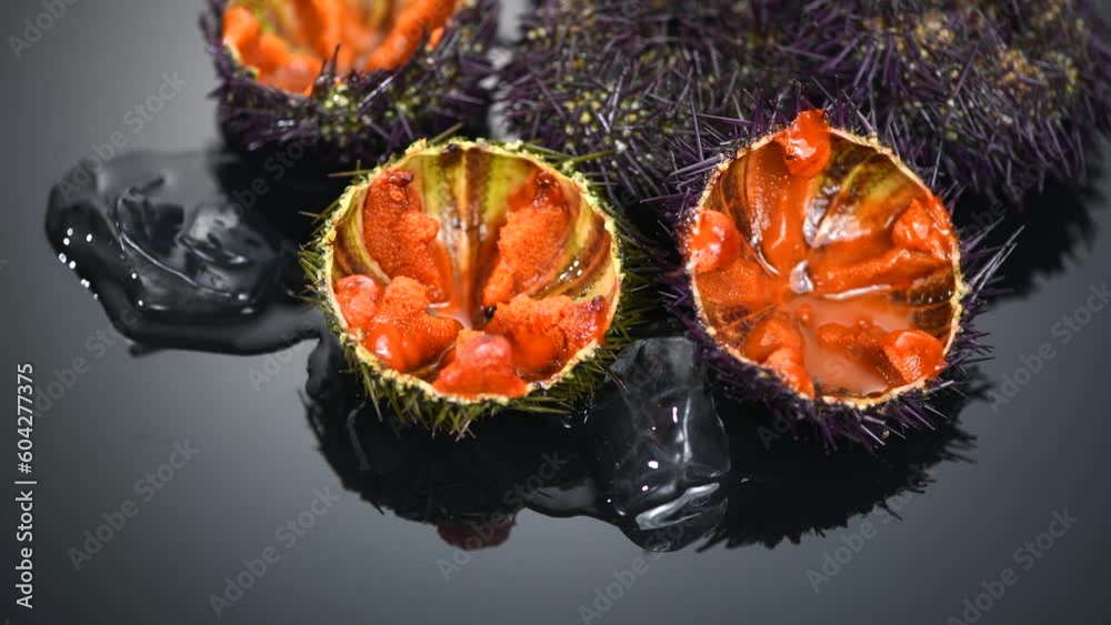 Sea Urchin With Caviar Close Up On Black Background Fresh Open Sea