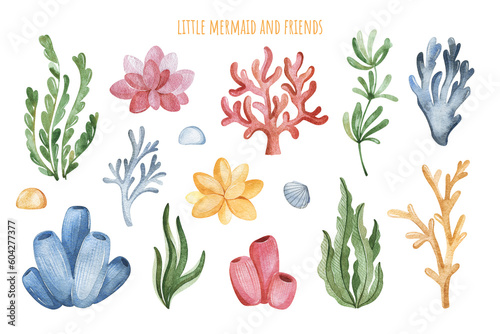 Cute illustration with seaweeds and corals.Underwater collection.Perfect for baby shower,wedding,greeting cards,nursery,invitations,birthday,party,stickers