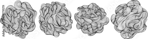 Abstract tree rings. Topographic map concept. Thin black lines isolate on white.