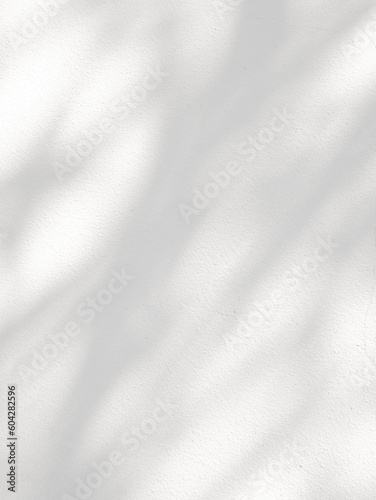 Leaf shadow and light on white concrete wall, overlay effect for photo, mock up, product, wall art, design presentation