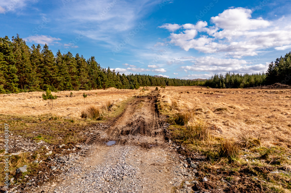 Aerial view of the Forest at Lough Anna island - County Donegal, Ireland