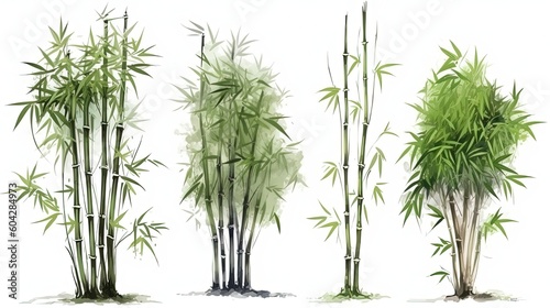 set of watercolor bamboo tree  generative ai