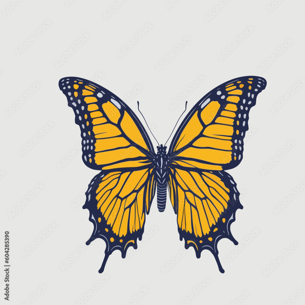 butterfly isolated on white . vector butterfly isolated on white . vector