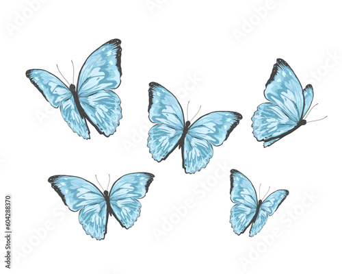 set of butterflies © gltekin