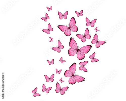 butterfly hand drawn design vector 