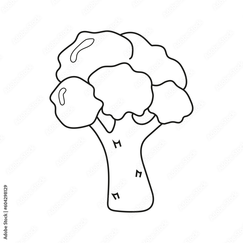 Vector illustration of broccoli in doodle style Vector illustration of broccoli in doodle style
