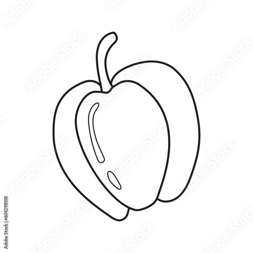 Vector illustration of bell pepper in doodle style
