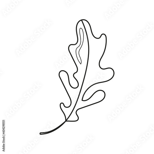 Vector illustration of arugula in doodle style.