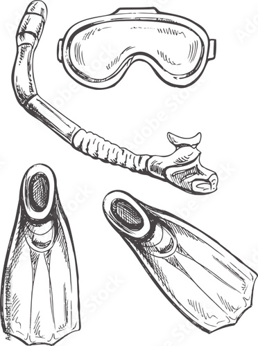 Hand drawn sketch of diving mask, diving fins and snorkel, vector Marine concept elements. Engraving illustration on white background.