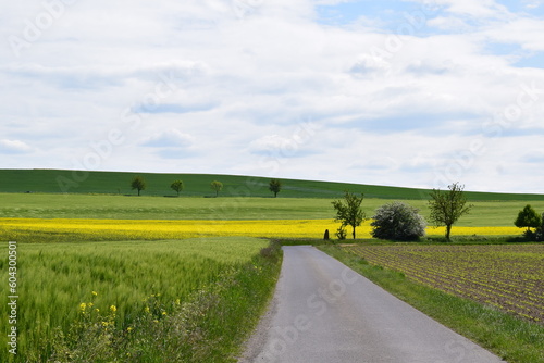 Country Road in Spring photo