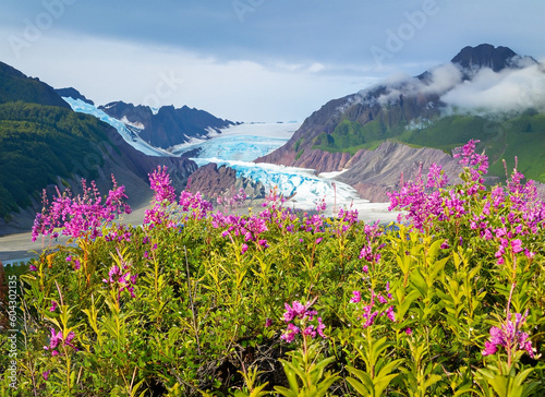 Juneau, Alaska. Mendenhall Glacier Viewpoint with Fireweed in bloom. Generated AI