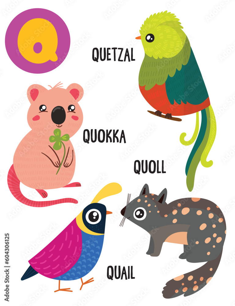 Fototapeta premium English alphabet with cute animals vector illustrations set. Funny cartoon animals: quail,quoll,quokka,quetzal. Alphabet design in a colorful style.
