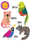 English alphabet with cute animals vector illustrations set. Funny cartoon animals: quail,quoll,quokka,quetzal. Alphabet design in a colorful style.